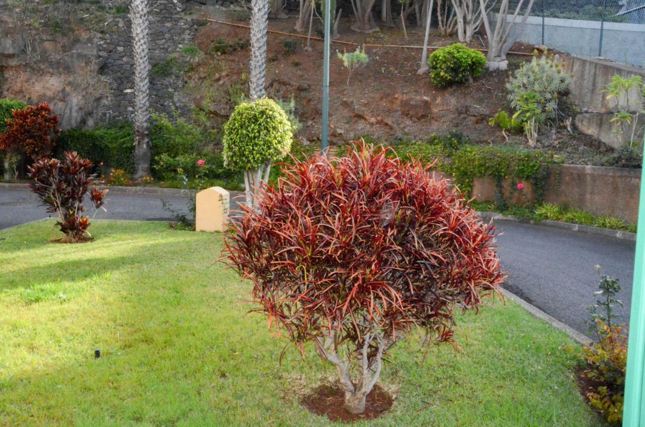 Apartamento Vista Formosa Funchal Exterior foto